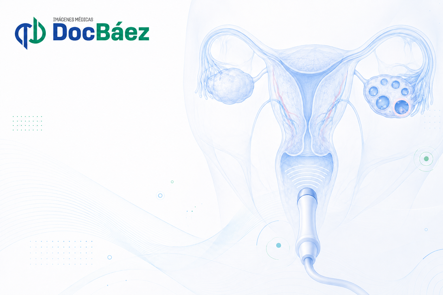 Control de ovulación con ecografía transvaginal