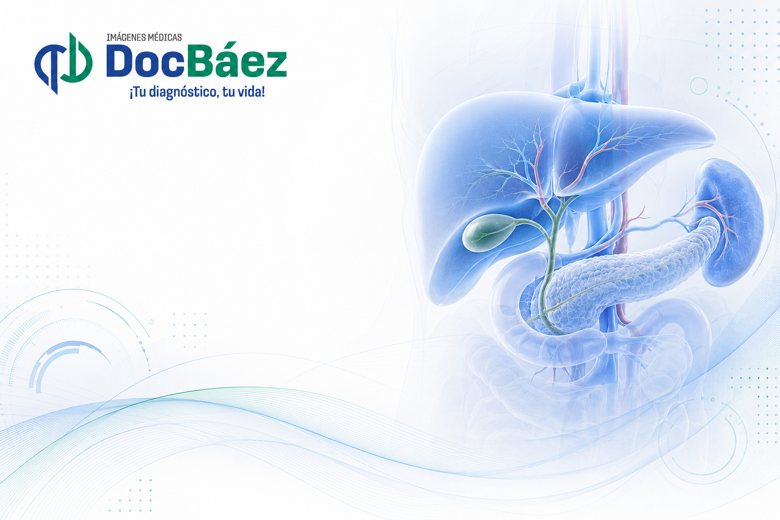 Ecografía de abdomen superior