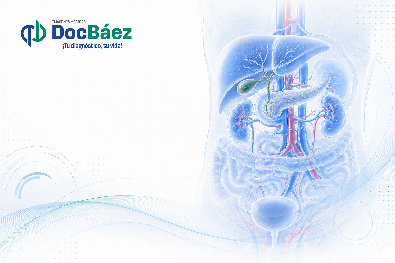Ecografía de abdomen total