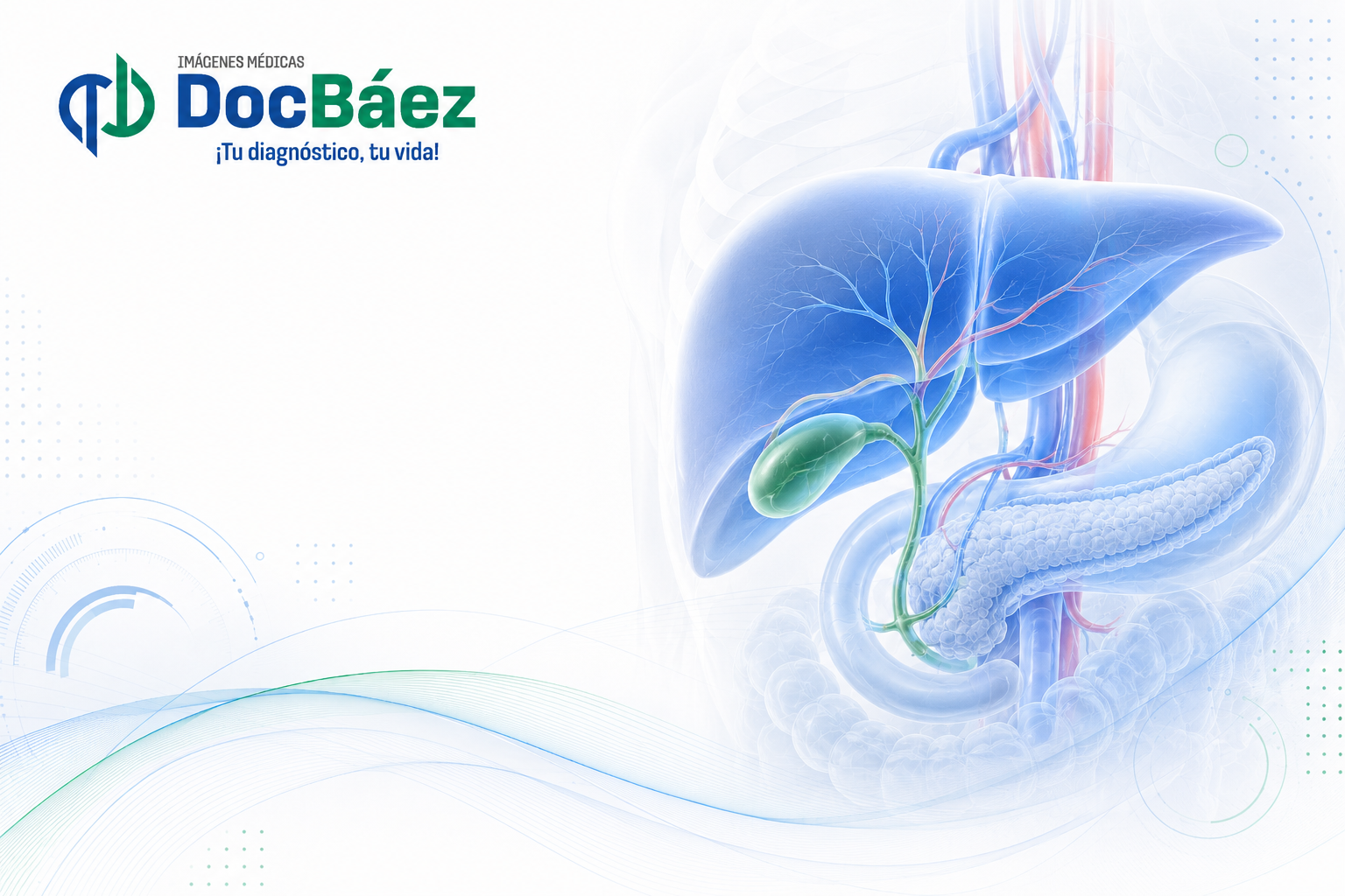 Ecografía de hígado, vías biliares, páncreas y vesícula