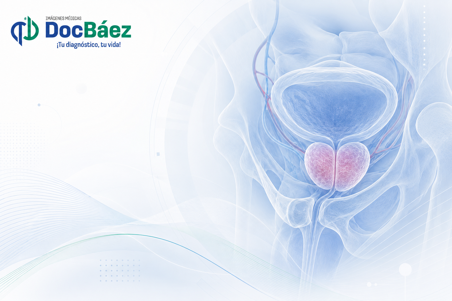 Ecografía de próstata transabdominal