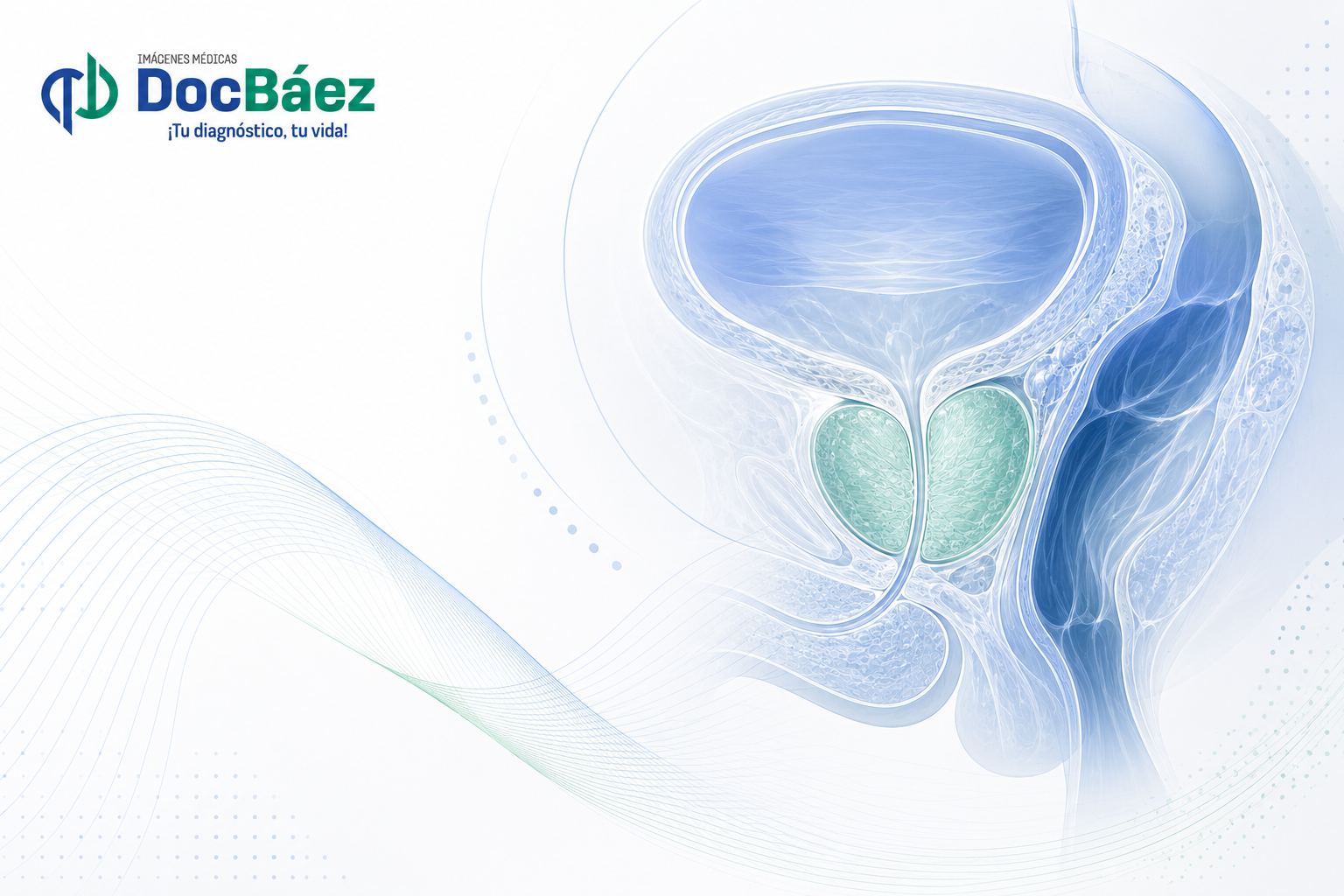 Ecografía de próstata transrectal