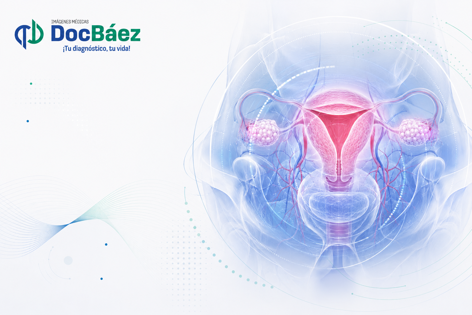 Ecografía ginecológica o pélvica transvaginal y transabdominal