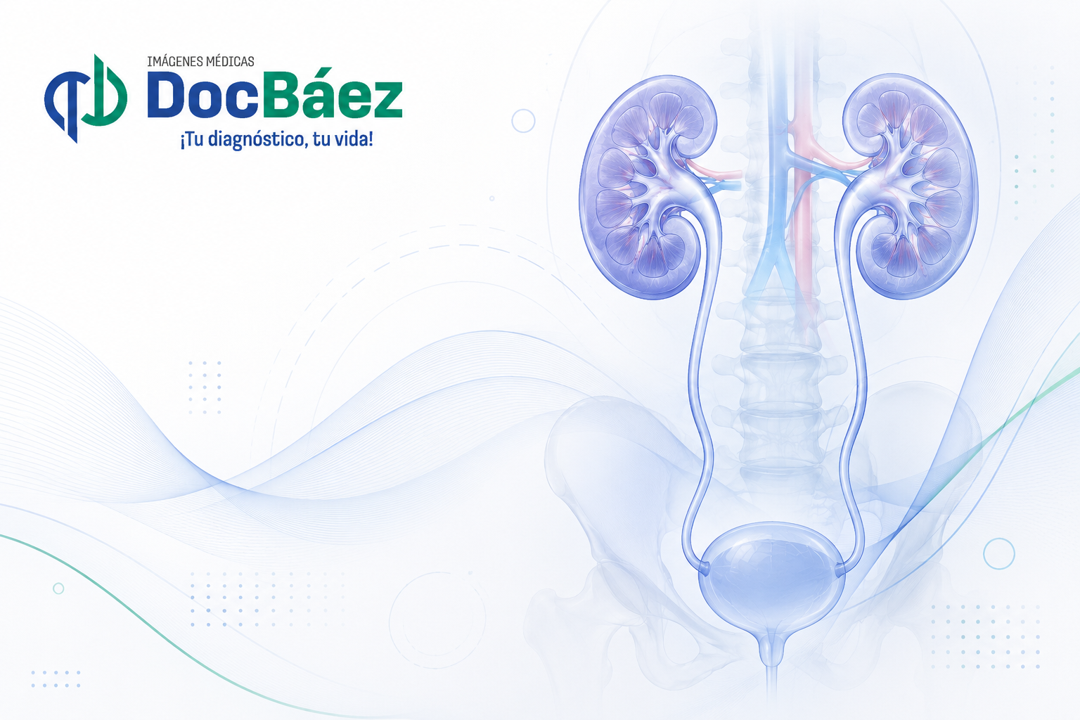 Ecografía renal y de vías urinarias